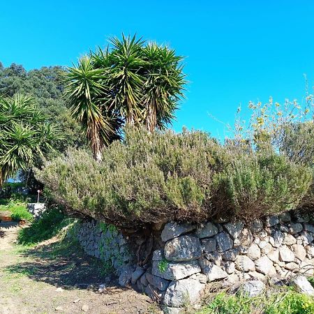 Vinha Do Gaio Villa Montes de Cima Eksteriør billede