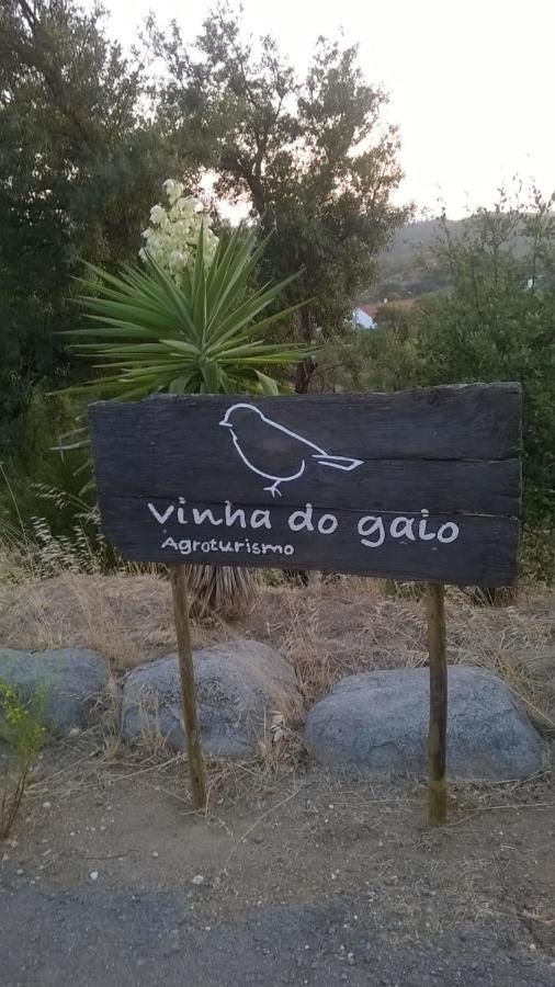Vinha Do Gaio Villa Montes de Cima Eksteriør billede