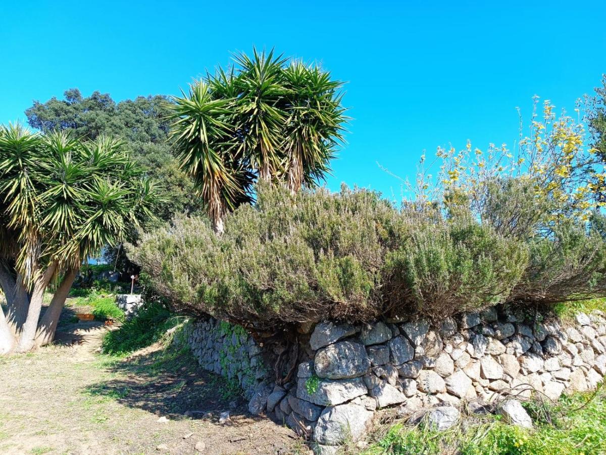 Vinha Do Gaio Villa Montes de Cima Eksteriør billede